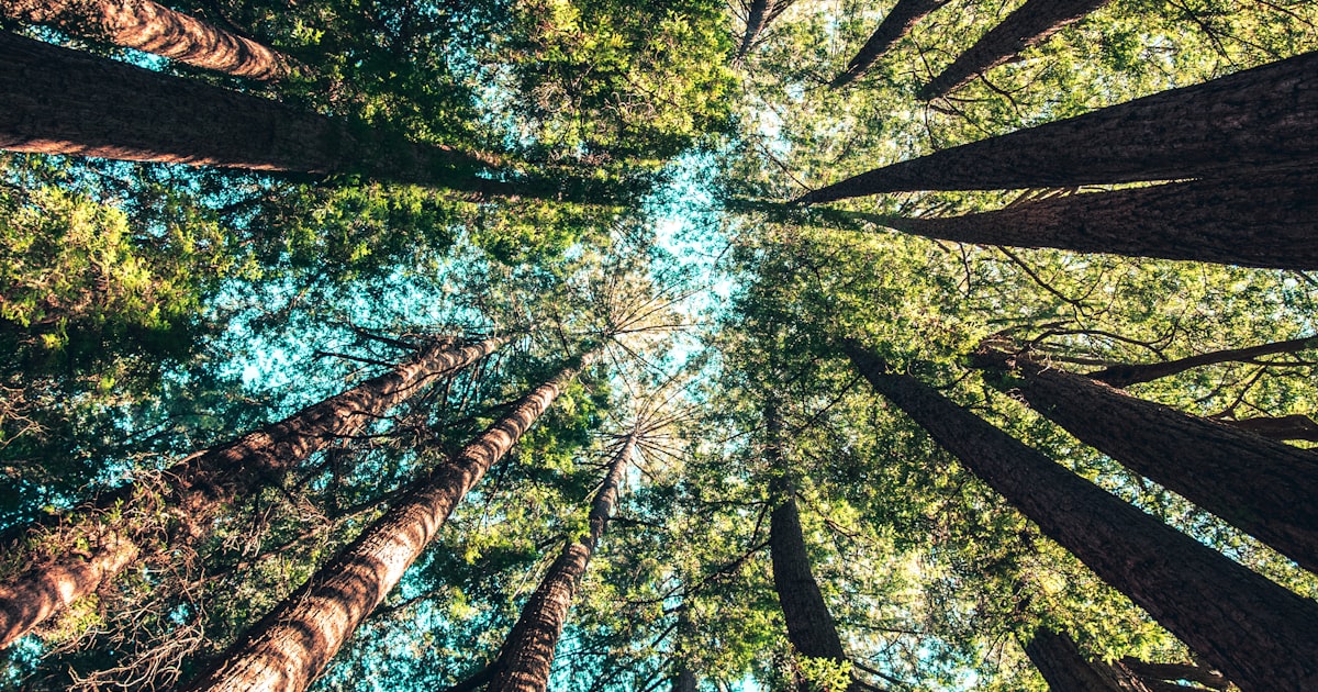 Krisis Taiwan: Skenario yang Bisa Mengubah Tatanan Dunia